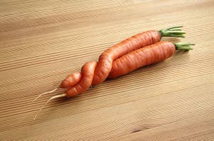 Two carrots that grew together and wrapped around one another