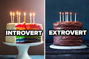 introvert label over rainbow cake and extrovert label over chocolate cake