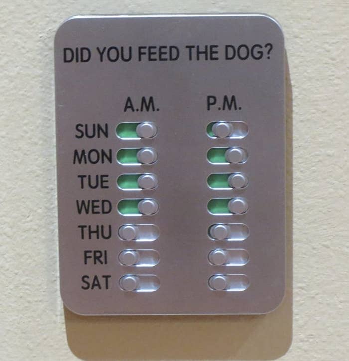 Reviewer photo of the reminder with daily slots to answer yes or no to &quot;did you feed the dog&quot;