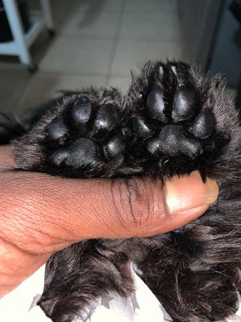 A customer review photo of their dog's paws after using the paw butter