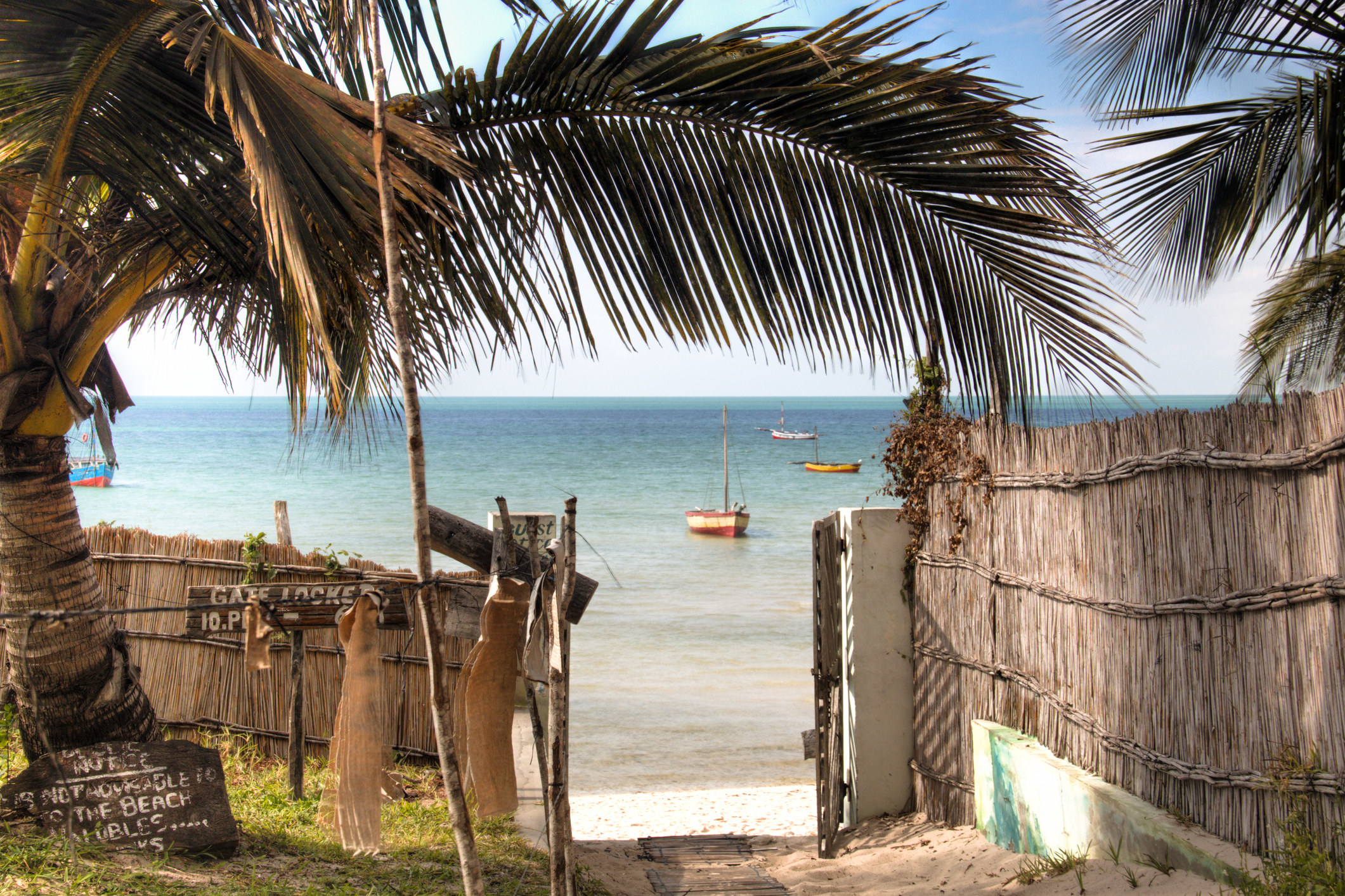 A path leading to the beach, with large palm trees and a fence made from natural materials