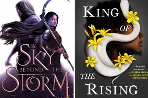 Sky Beyond the Storm book cover / King of the Rising book covr
