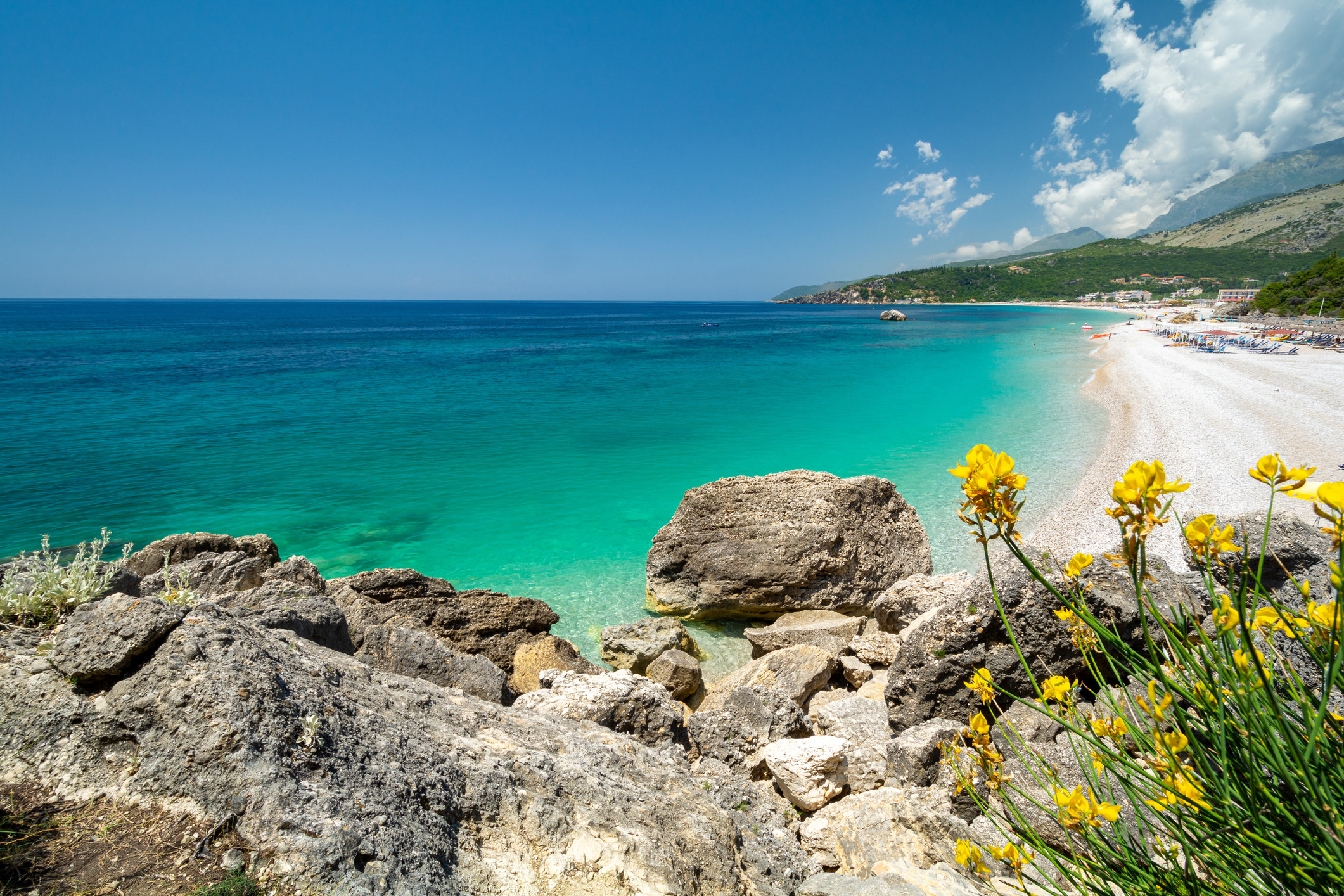 A white sand beach with bright blue water, and rocks and wildflowers in the foreground