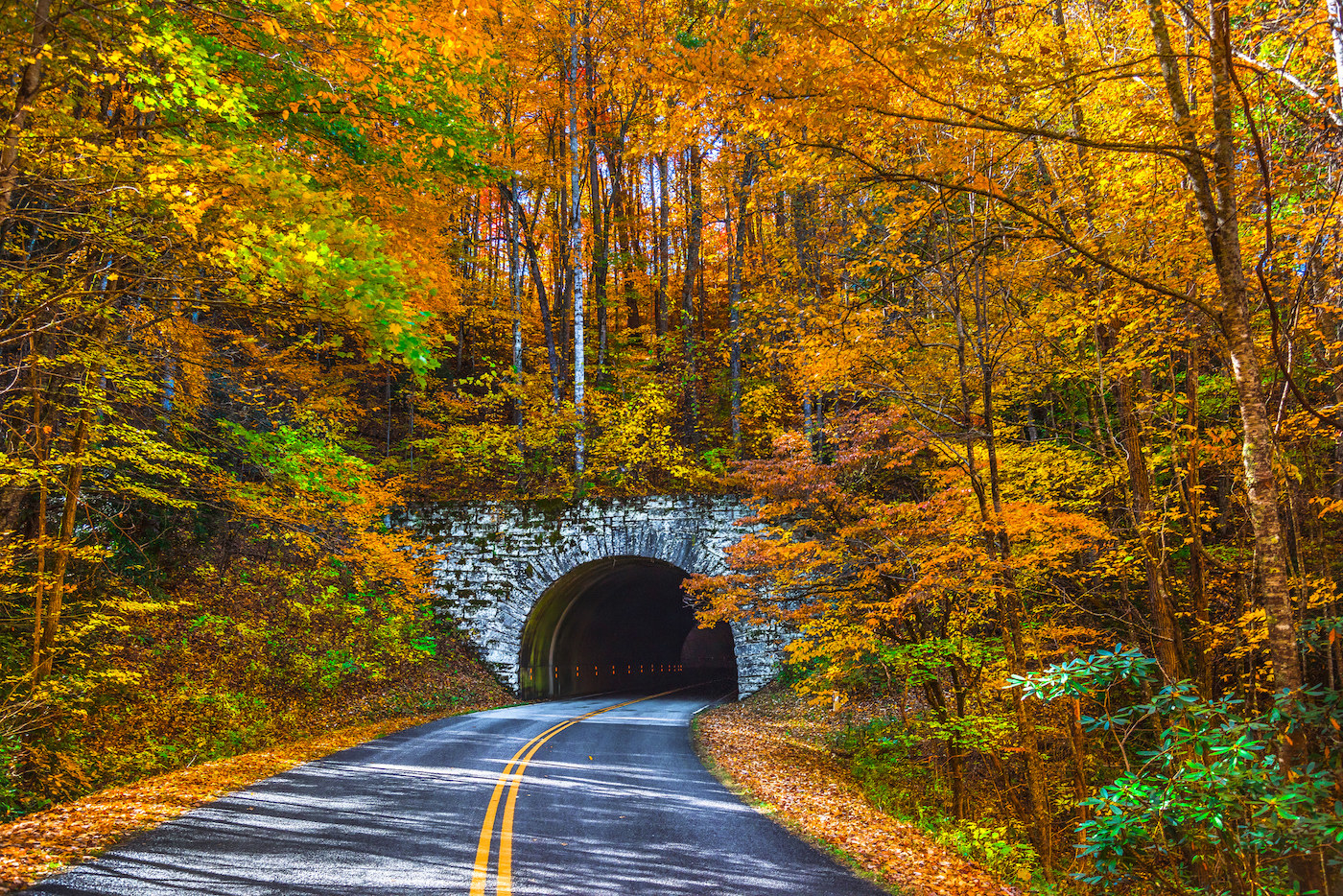 Highway leading to a tunnel in the middle of fall