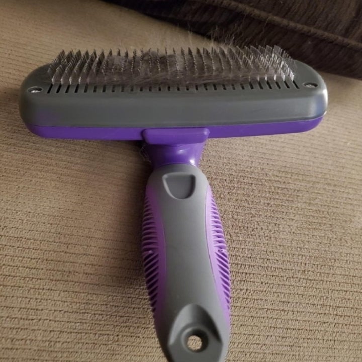 A purple and grey brush with cat hair in its teeth