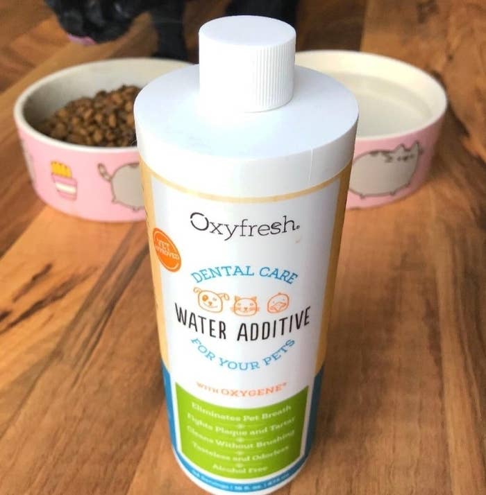 a white green and blue water additive bottle in front of a cat food bowl and a water food bowl