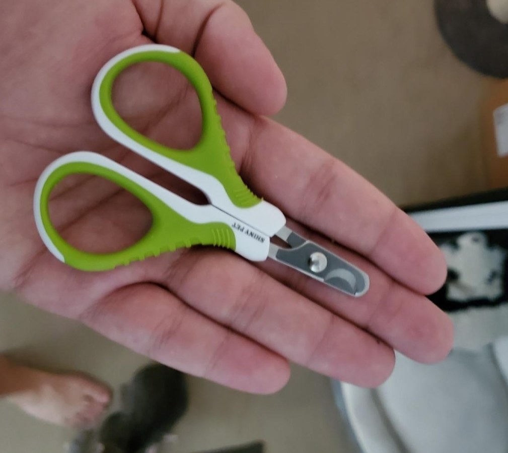 a lime green and white claw trimmer in a persons hand