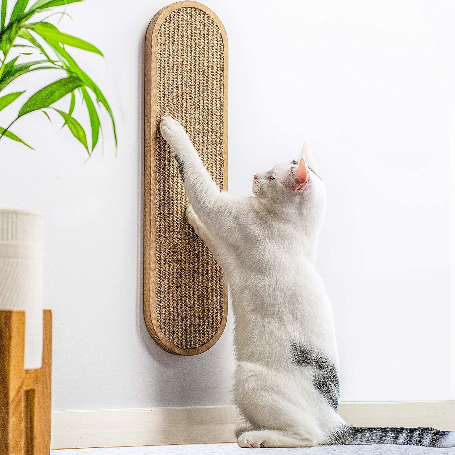 a white and grey cat scratching at an oval-shaped cat scratching pad