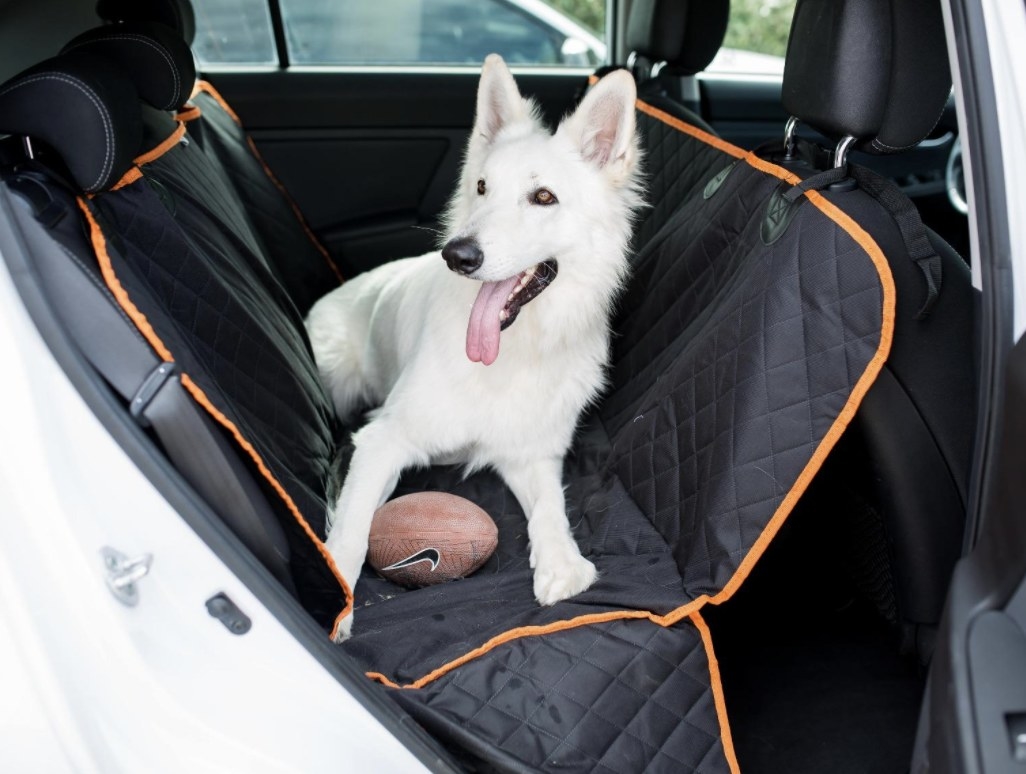 A dog sitting in the back of a car with a seat cover on
