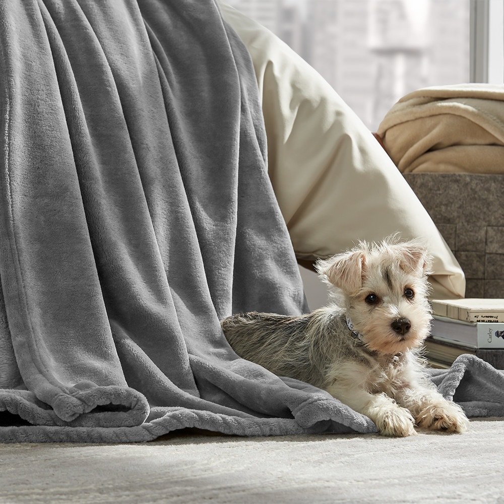 dog laying on top of the blanket in gray