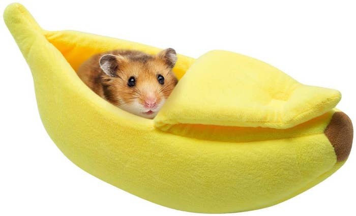 The small animal pet bed