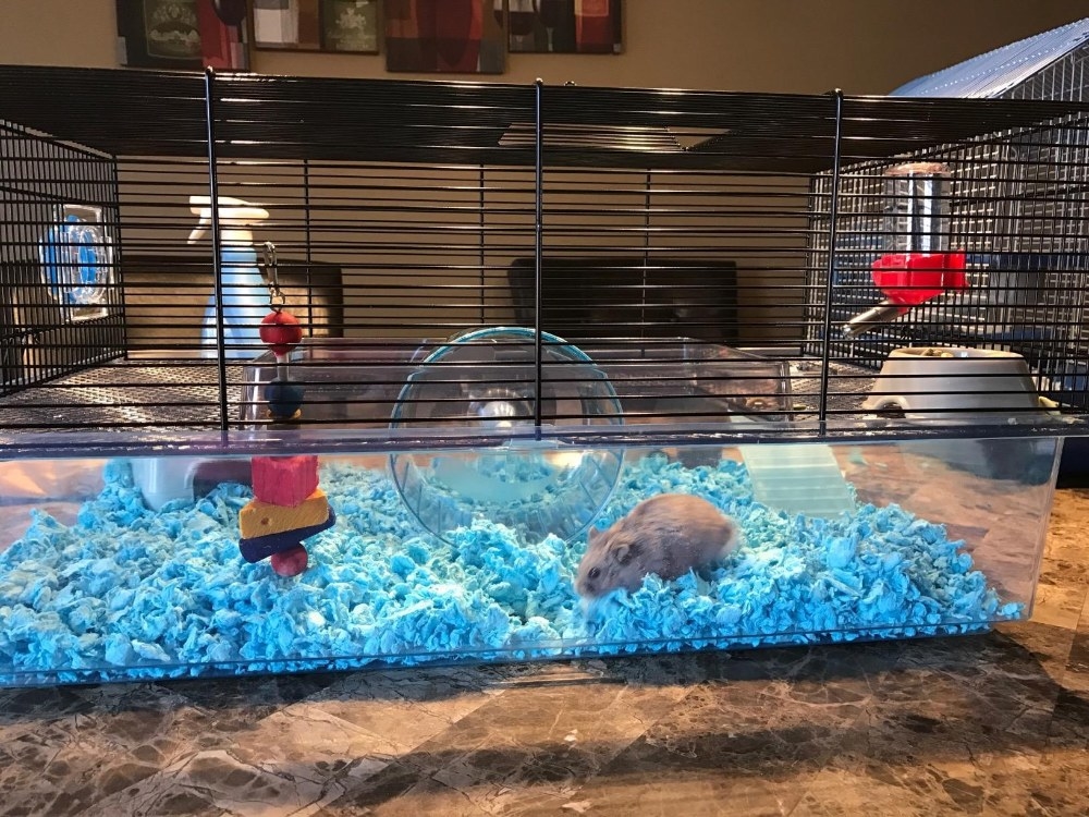 Review photo of the hamster cage