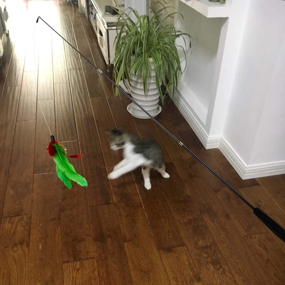 a kitten chasing a green feather on a stick