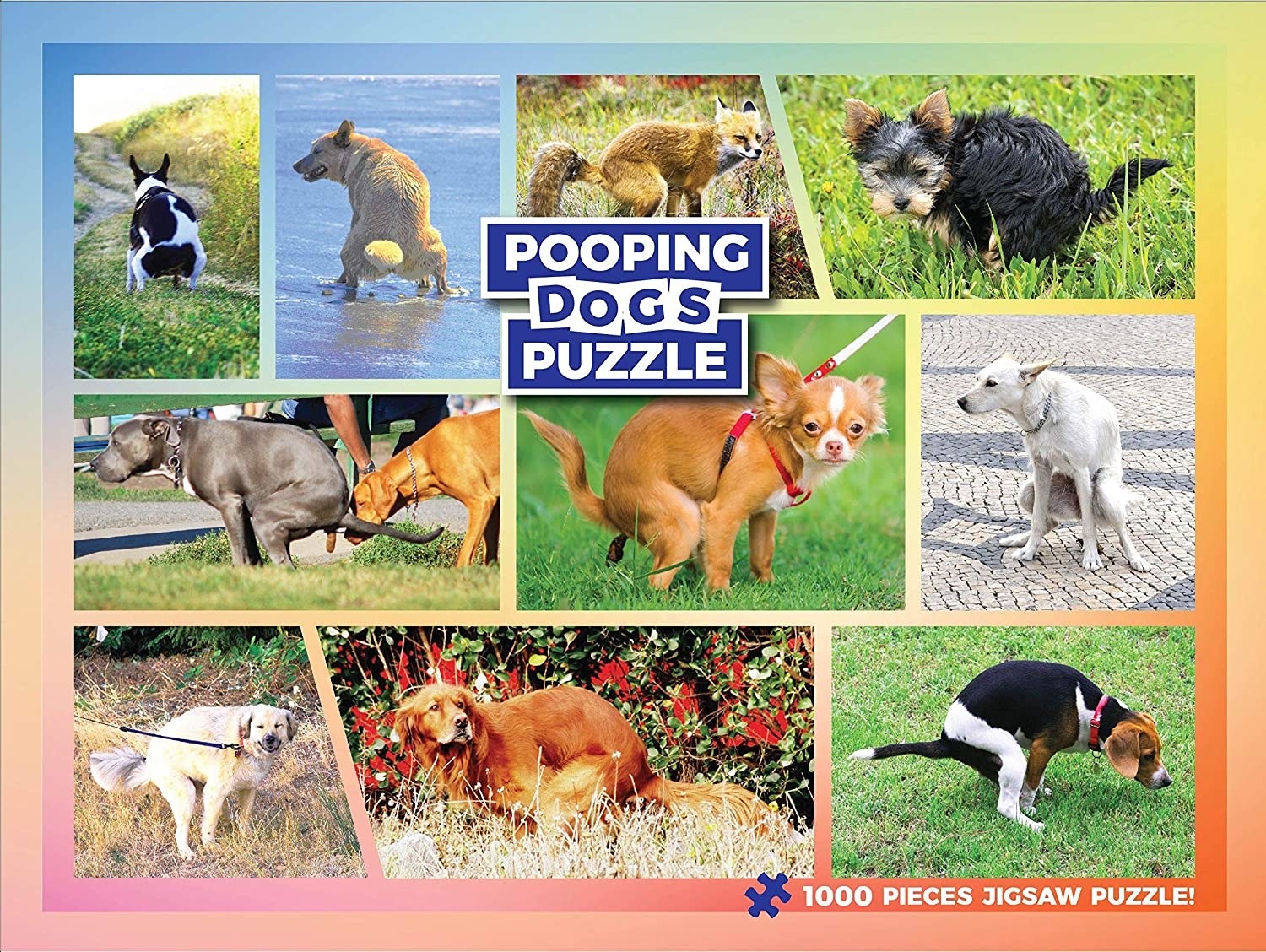 cover of puzzle with pooping dogs on it