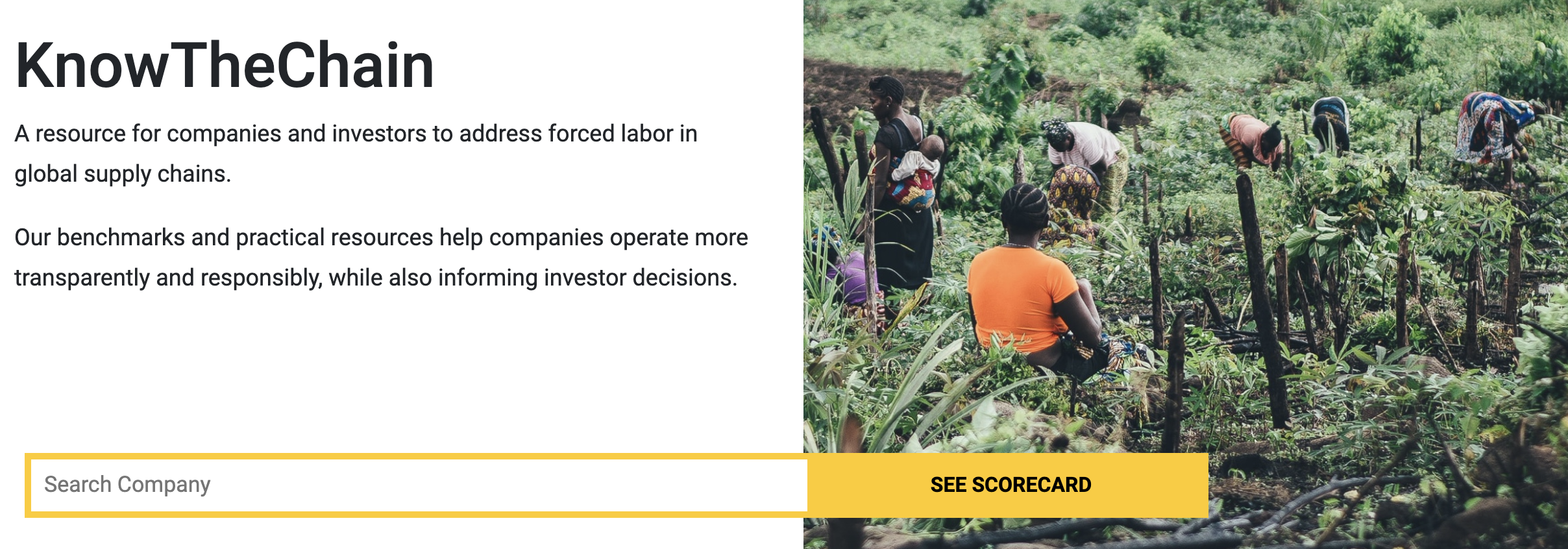 homepage with an image of a forest and a short description of the goal of helping companies operate with more transparency, as well as a company search bar