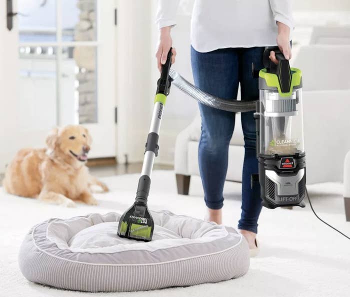 Person is vacuuming a dog bed