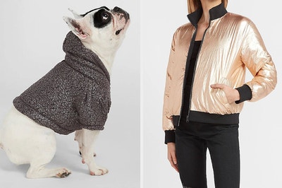 on left Frenchie wearing a hoodie and on right model wearing a metallic jacket 