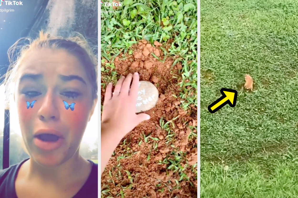 A Girl On Tiktok Accidentally Buried Her Hamster Alive