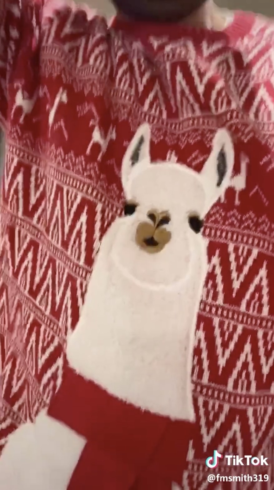 A red and white sweater with a llama on it