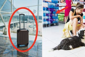 Suitcase by itself and a pet store
