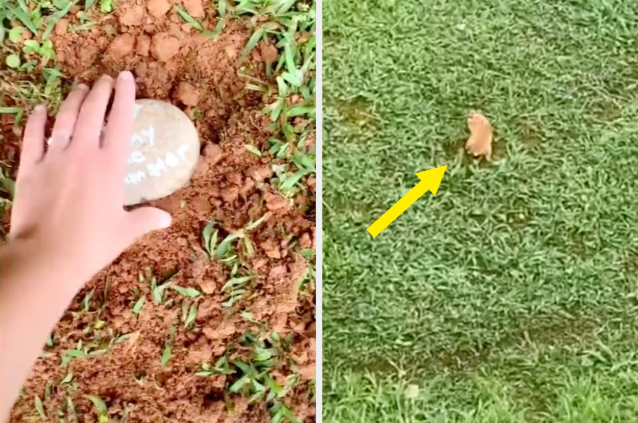 Hammy crawling around after being buried.