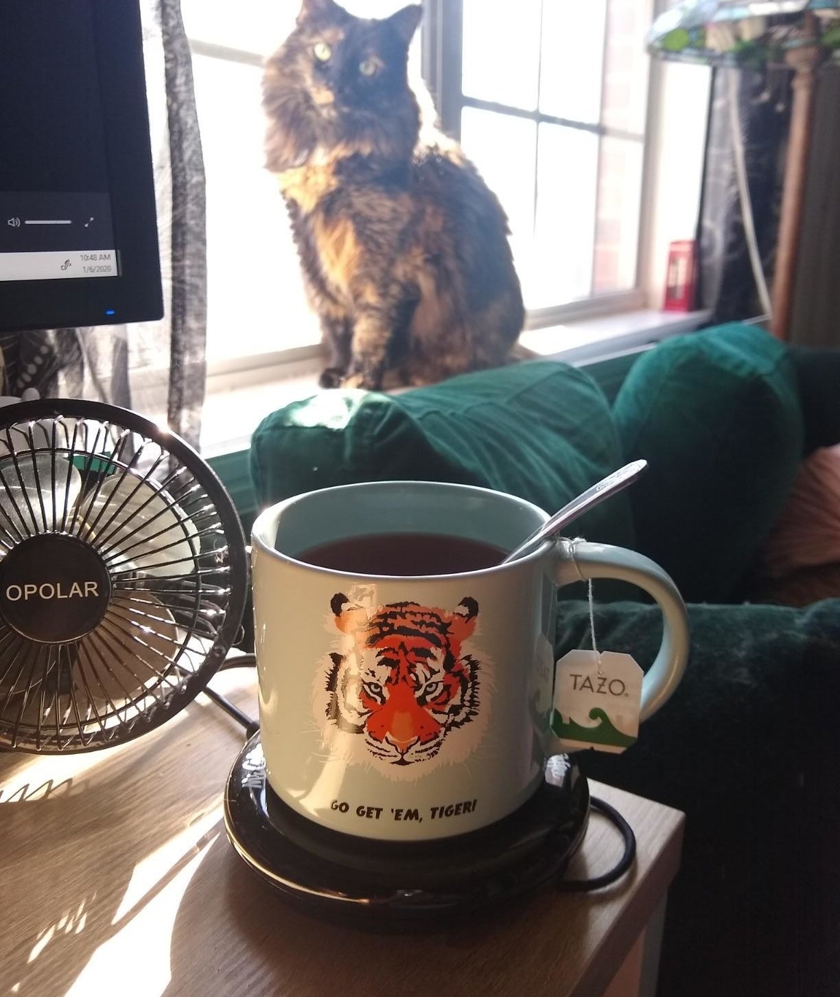 reviewer photo showing a mug of tea on the mug warmer