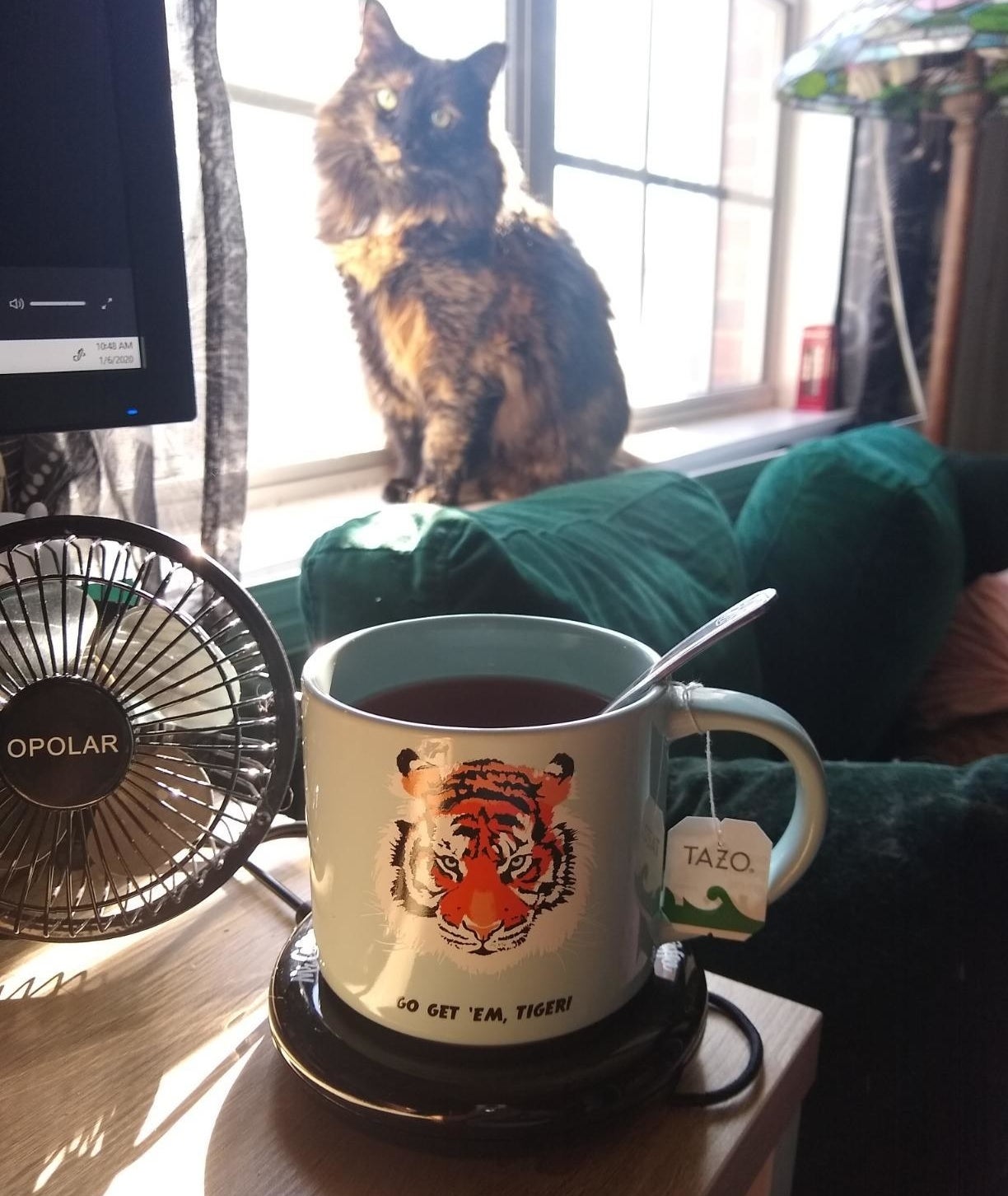reviewer photo showing a mug of tea on the mug warmer