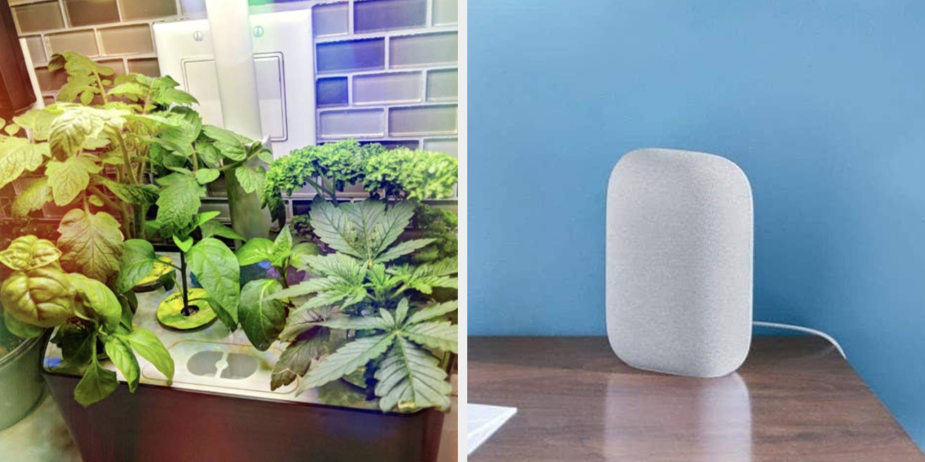 33 Intriguing Gadgets And Tech Products You'll Want To Try