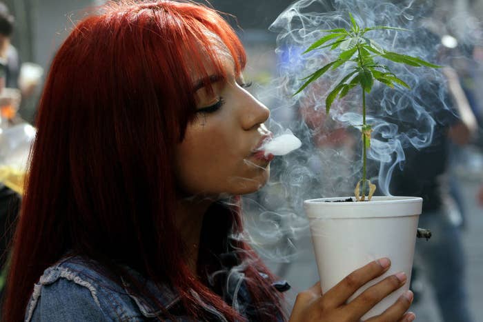 An image of a woman blowing smoke on a cannabis plant