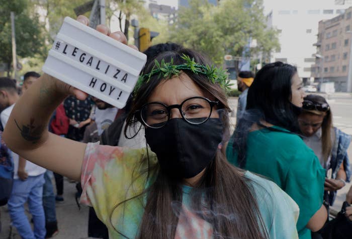 An image of a protestor at a march for the legalization of cannabis