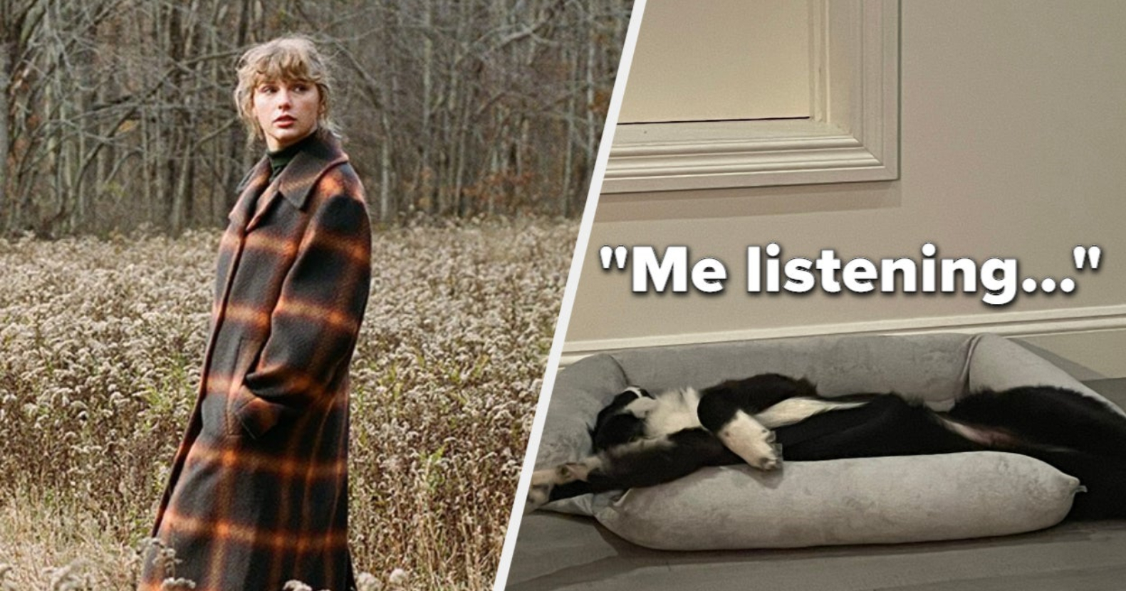 Celeb Reactions To Taylor Swift's Evermore