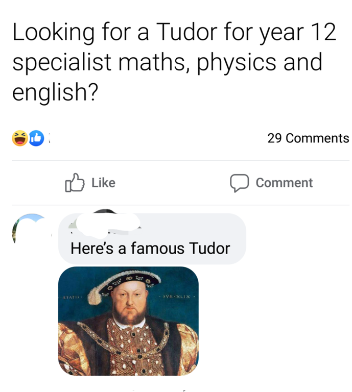 facebook post reading looking for a tudor for year 12 specialist maths physics and english