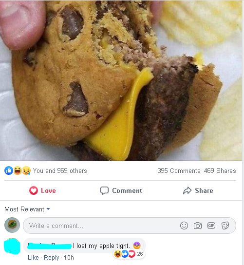 picture of a hamburger between two cookies with a comment reading i lost my apple tight