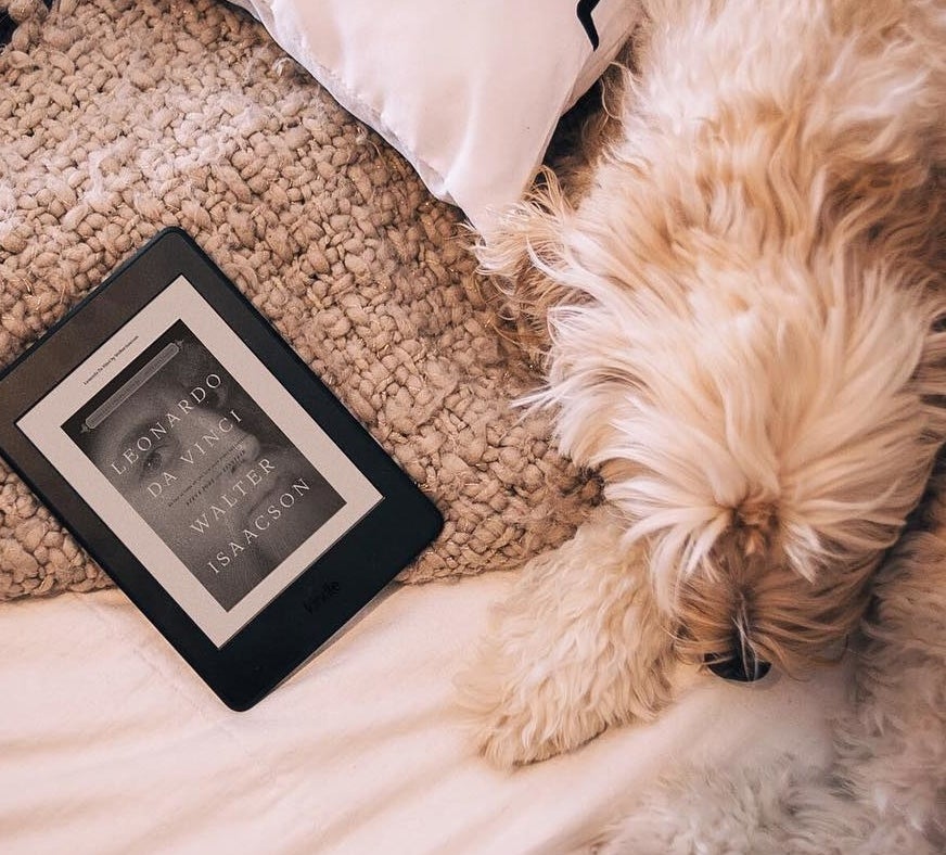 A Kindle next to a cute dog