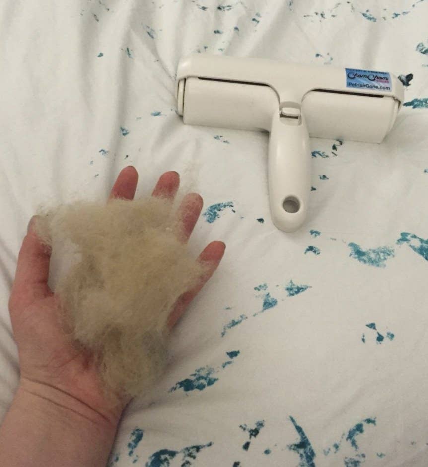 28 amazon pet products that are clever solutions