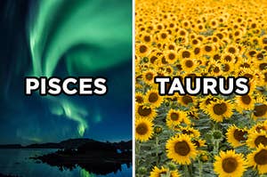 On the left, the Northern Lights labeled "Pisces," and on the right, a field of sunflowers labeled "Taurus" 