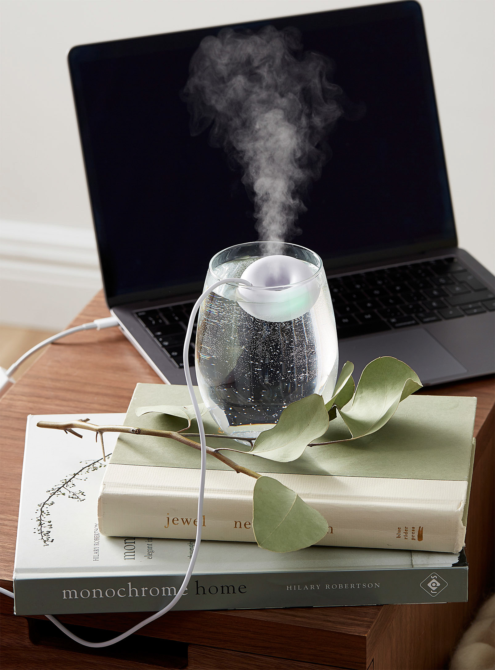 the humidifier in a glass of water on some books plugged into a laptop