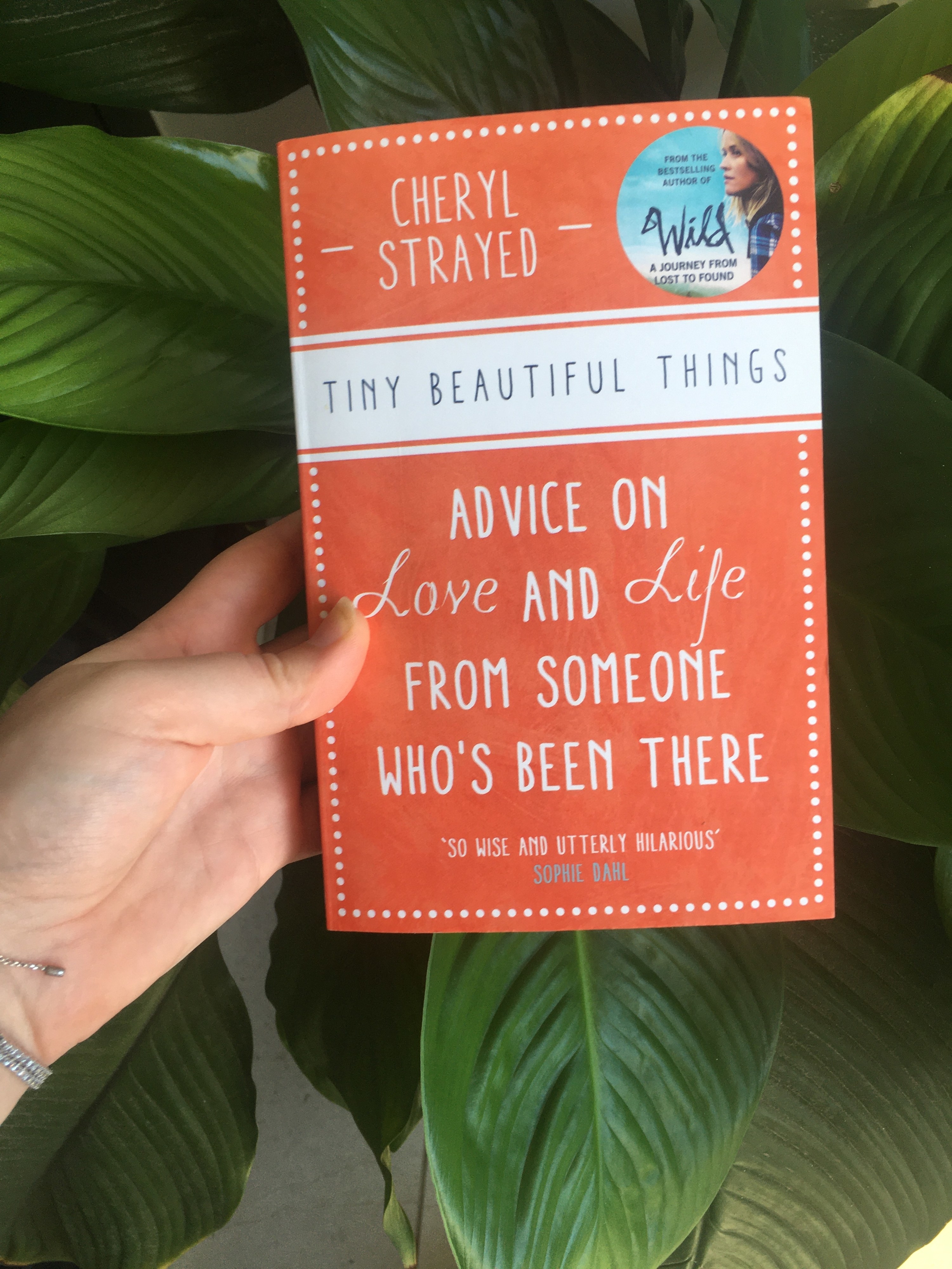 Book held in front of a plant with the cover taken up by title