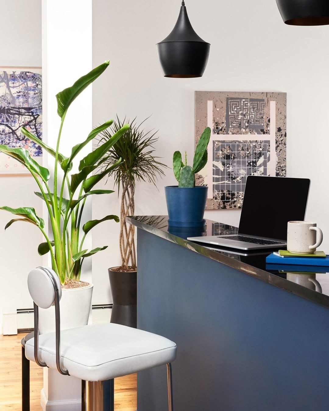 office with a potted tree on the ground and a potted cactus on a counter