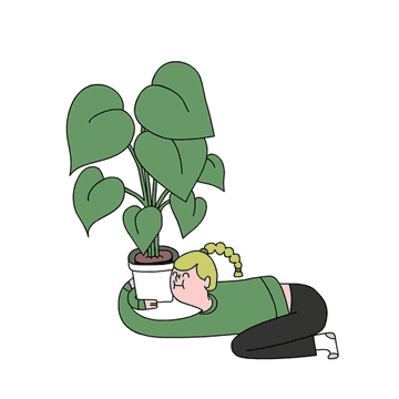 Animation of a girl adoringly clutching her growing plants