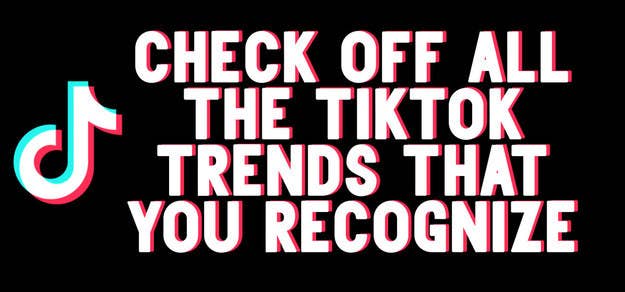 2020 Tiktok Trends How Many Do You Remember