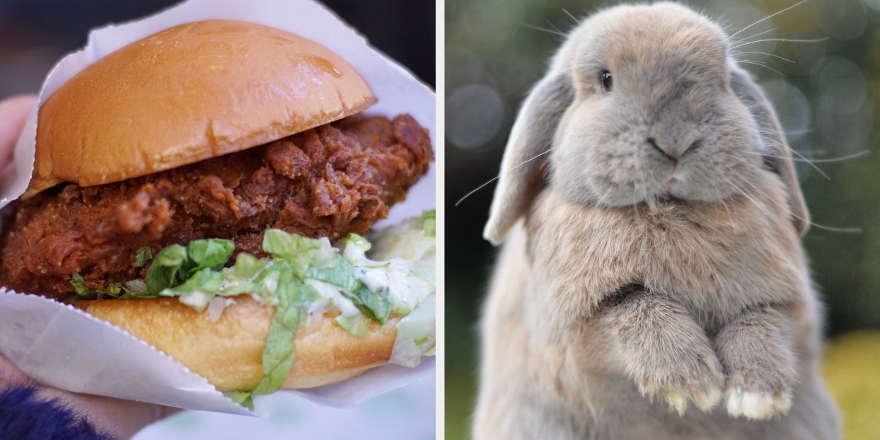 Which Pet Should You Get Based On Food Preferences Quiz