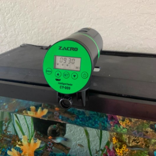 zacro green fish feeder in an aquarium