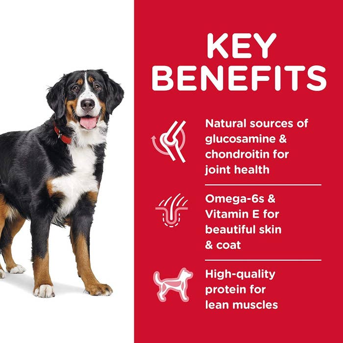 Infographic explaining the benefits of the food, including that its a natural source of glucosamine and has omega-6s and vitamin E