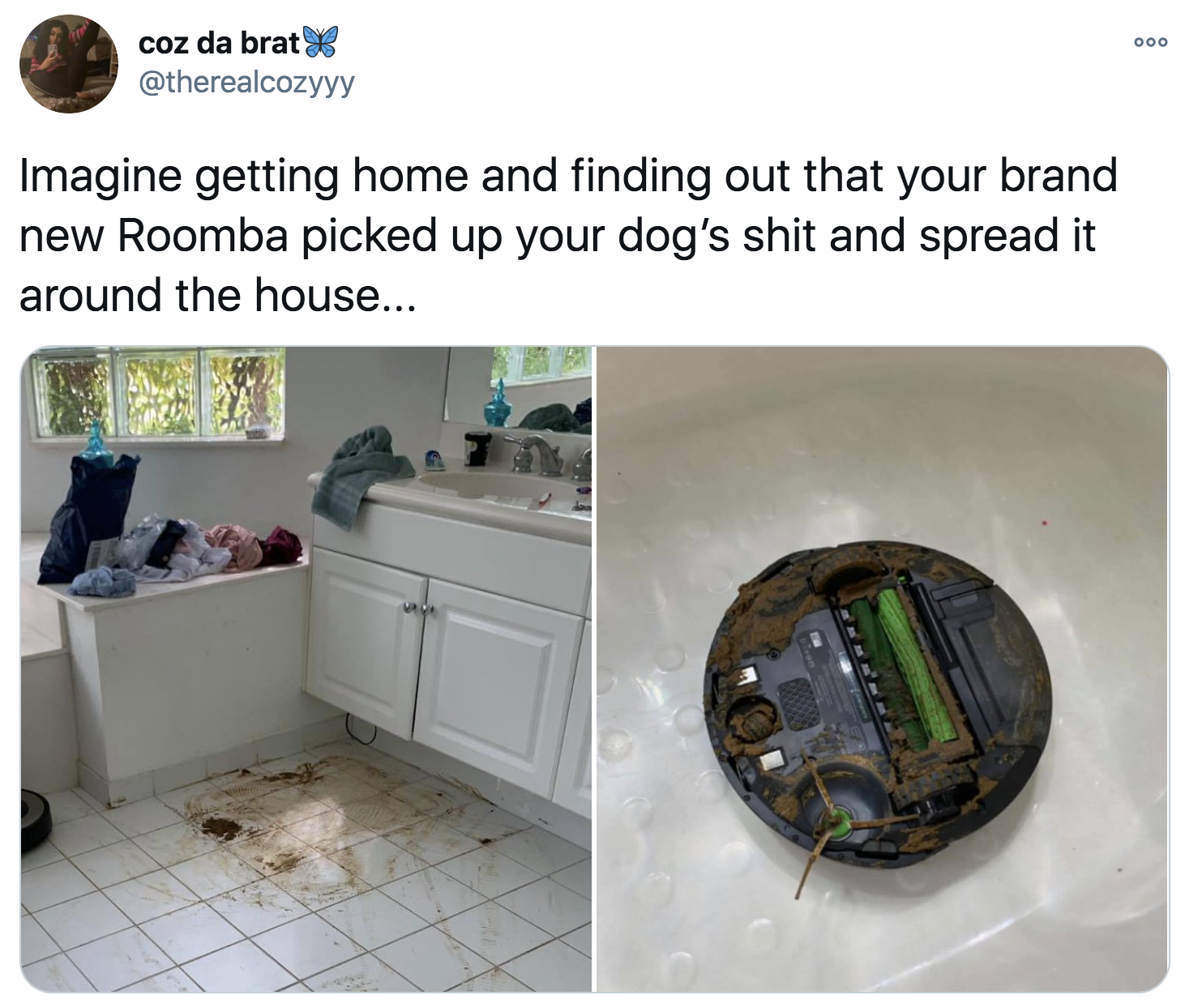 tweet reading Imagine getting home and finding out that your brand new Roomba picked up your dog’s shit and spread it around the house...