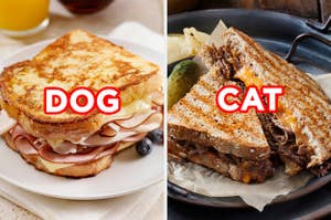 On the left, a grilled turkey sandwich with Swiss cheese labeled "dog," and on the right, a steak and cheddar panini labeled "cat"