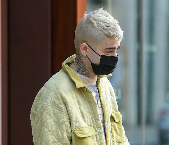 Zayn Malik shows off dramatic new blonde locks and hes dyed his BEARD  to match  Daily Star
