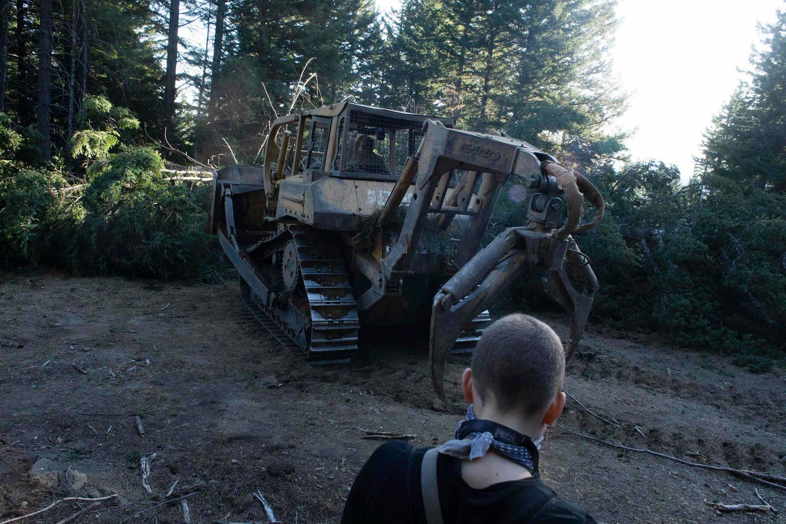 An activist stands in front of clawed equipment used to move logs, framed so their head is in the claws