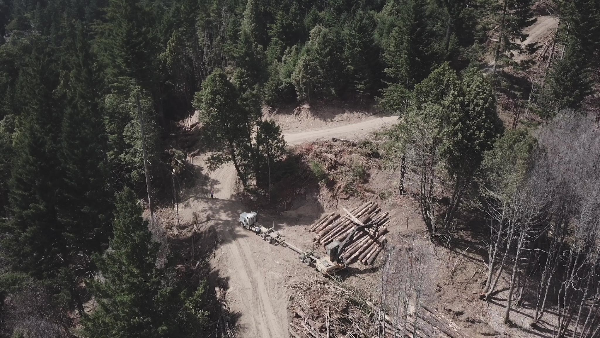 Logs are seen besides a road in an overhead shot