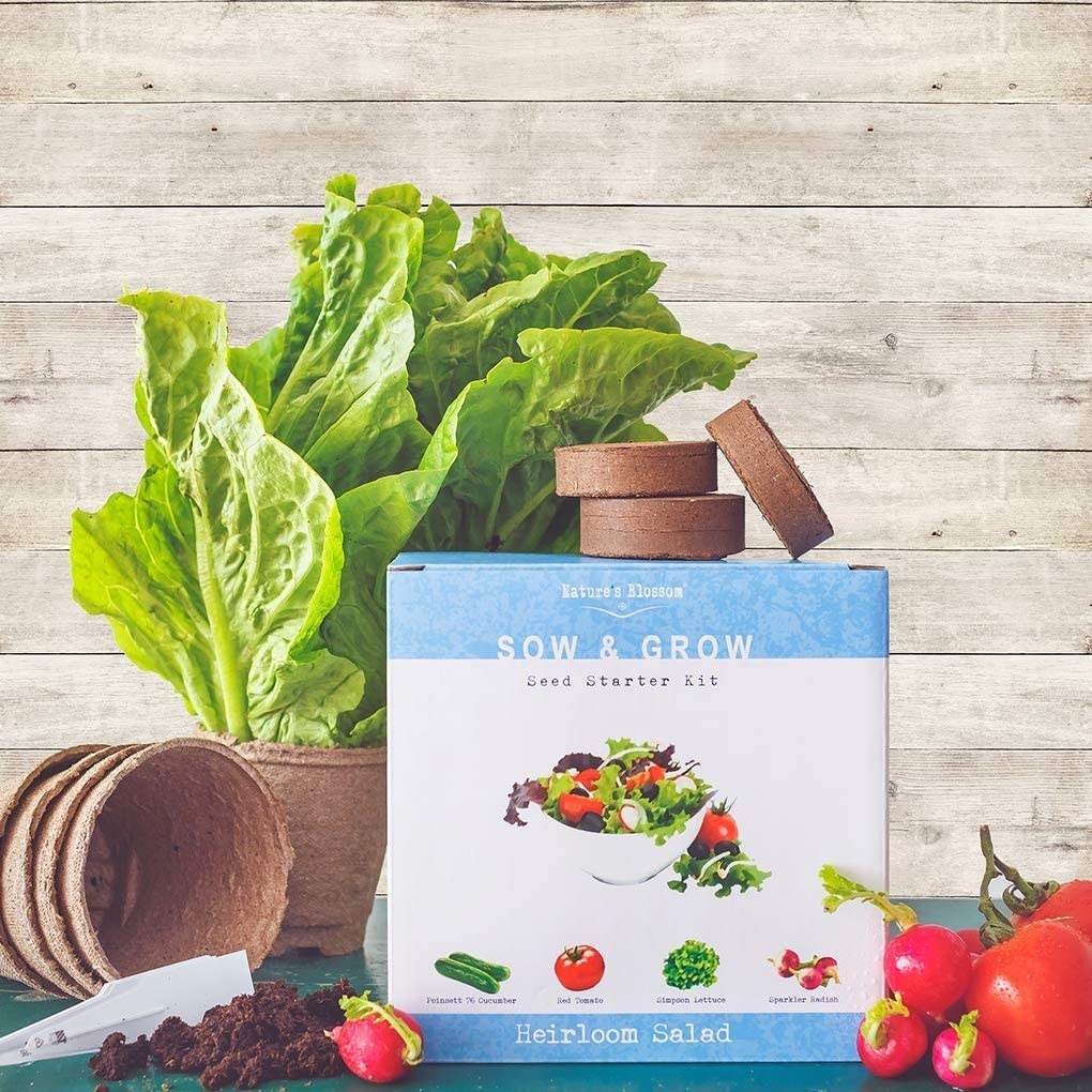 The box containing the growing kit surrounded by fresh tomatoes and lettuce